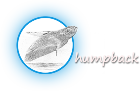 humpback Photography Logo